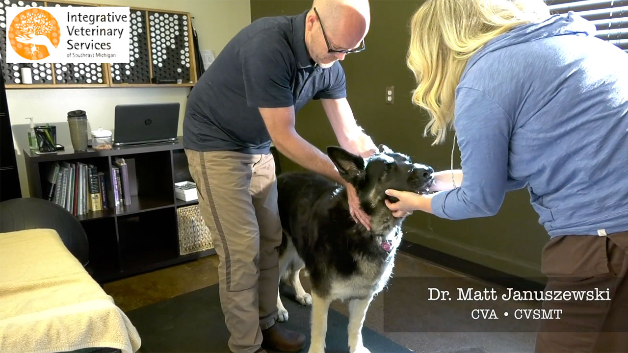 YouTube video production for Veterinary office